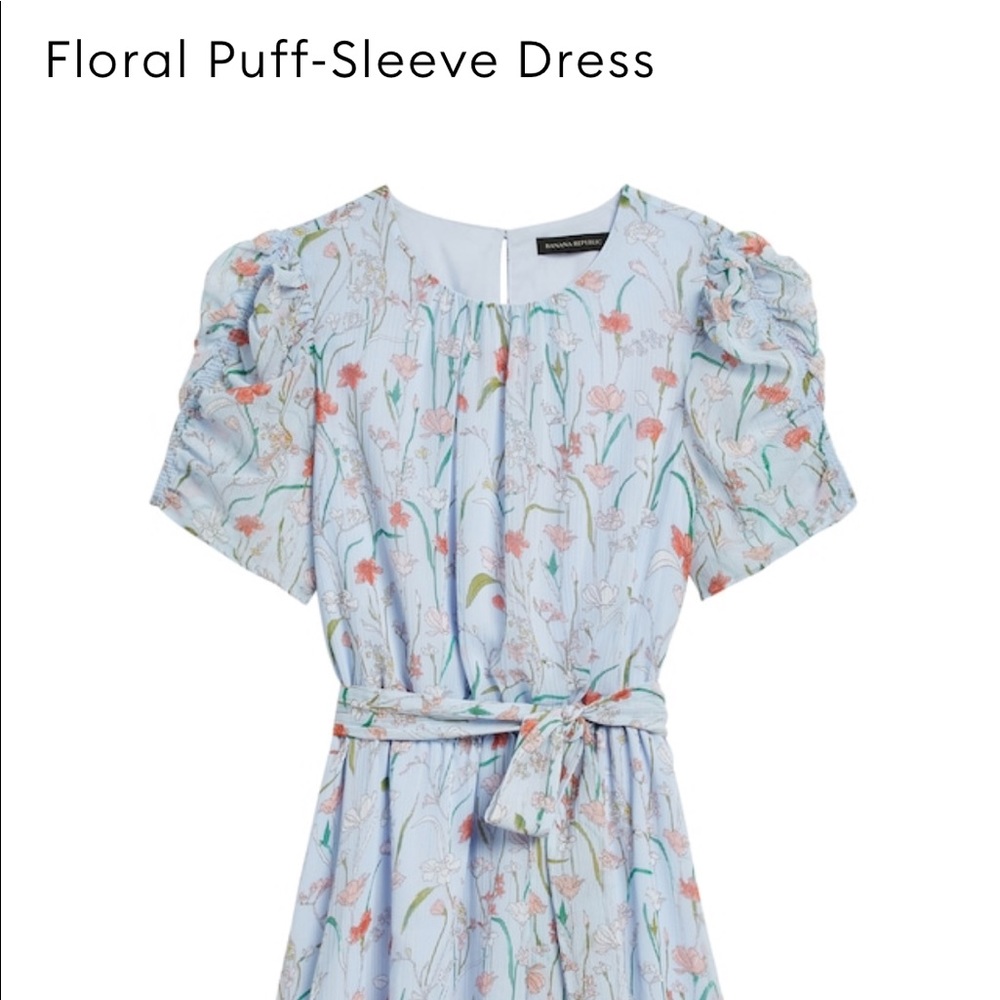 NWT Banana Republic Floral puffed dress (10)